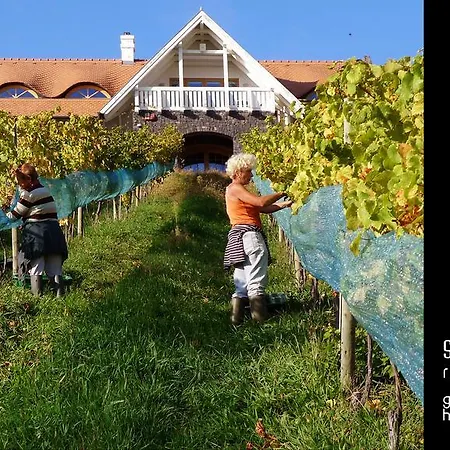 Sandahl Rezidencia 3* Бадачоньтомай