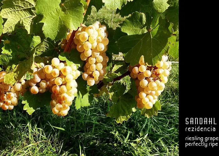 Pensionat Sandahl Rezidencia